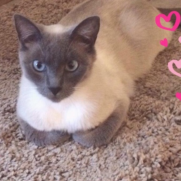 Meet your Posher, Lisa “AlwaysBeGrateful” - Picture 8 of 8